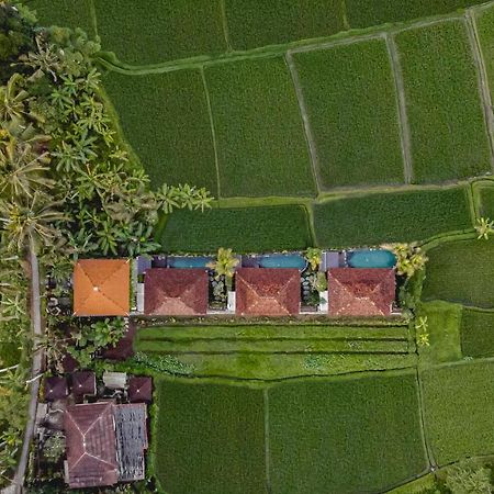 Airsania Ubud Antique Villas エクステリア 写真