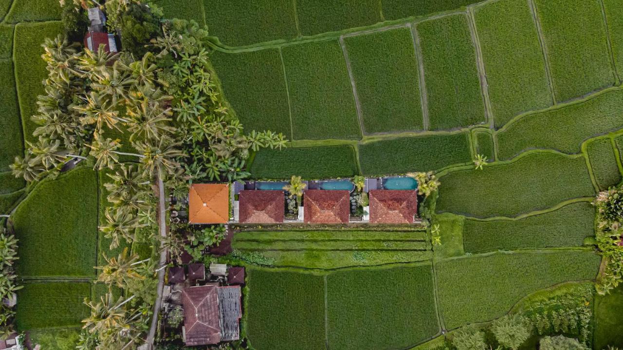 Airsania Ubud Antique Villas エクステリア 写真